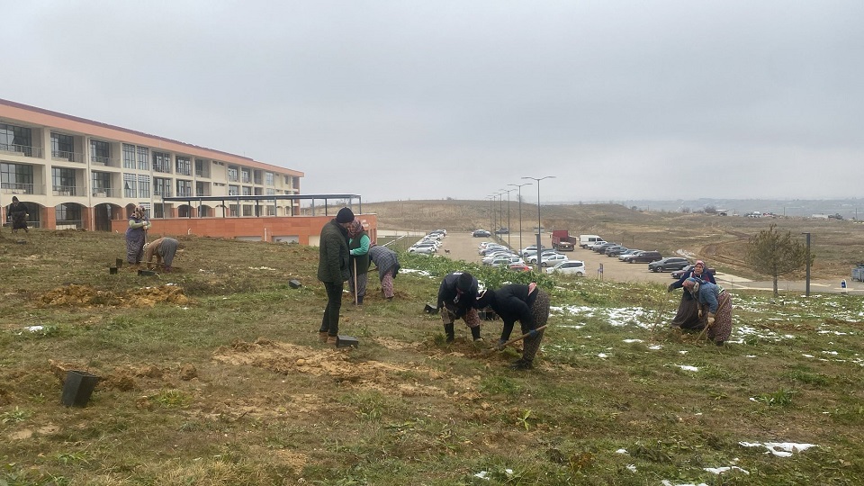 Kastamonu Meslek Yüksekokulu yanındaki alanda oluşturulacak karbon yutak alanı için fidan dikimine başlandı.