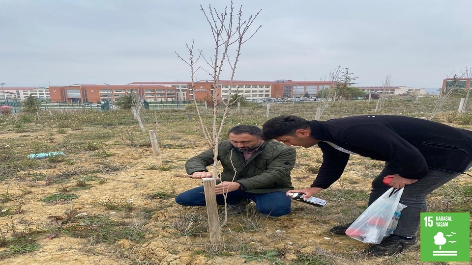 Kuzeykent kampüsündeki Karbon Yutak Alanlarında bakım ve yenileme çalışmaları yapıldı